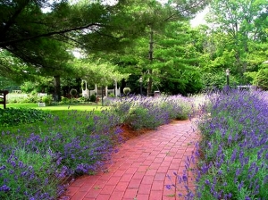 flowery walkway